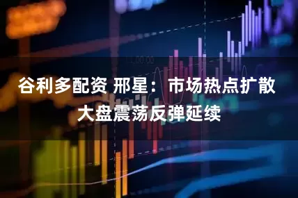 谷利多配资 邢星：市场热点扩散 大盘震荡反弹延续