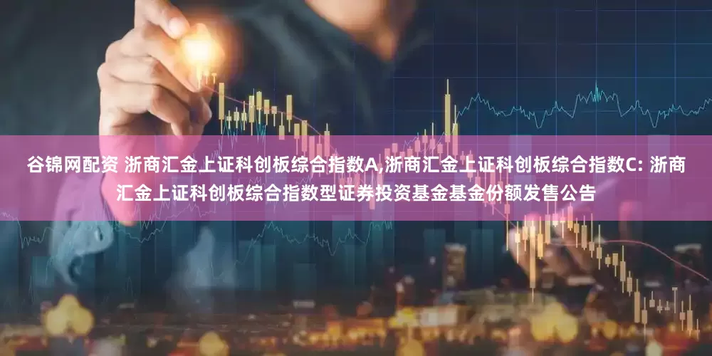 谷锦网配资 浙商汇金上证科创板综合指数A,浙商汇金上证科创板综合指数C: 浙商汇金上证科创板综合指数型证券投资基金基金份额发售公告