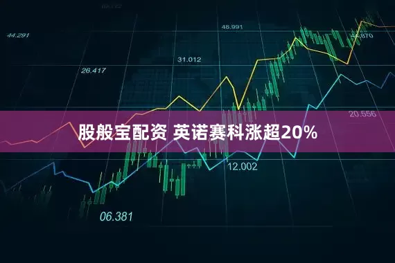 股般宝配资 英诺赛科涨超20%
