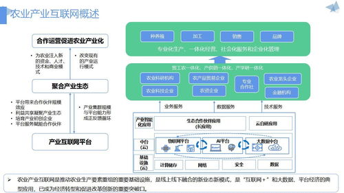 数字农业农村解决方案 ppt可编辑